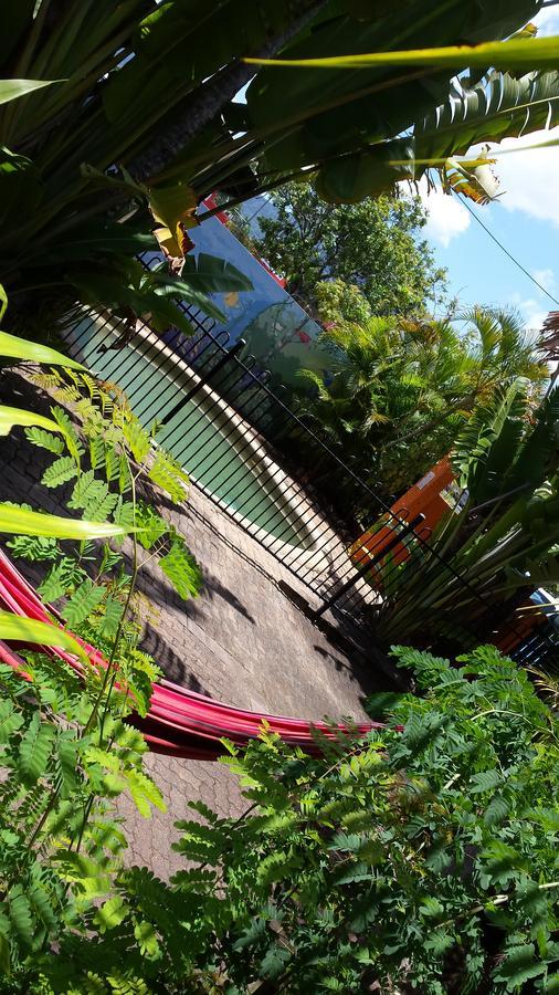 Jjs Backpackers Hostel Кэрнс Экстерьер фото
